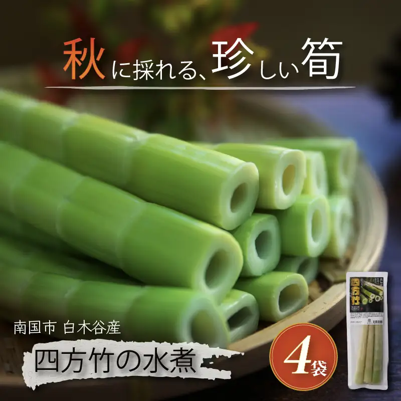 【9月まで 受付限定】 国産 四方竹 水煮 120g × 4袋 (2026年11月～発送) | シホウチク 筍 たけのこ 特産 珍味 希少 高知 南国市