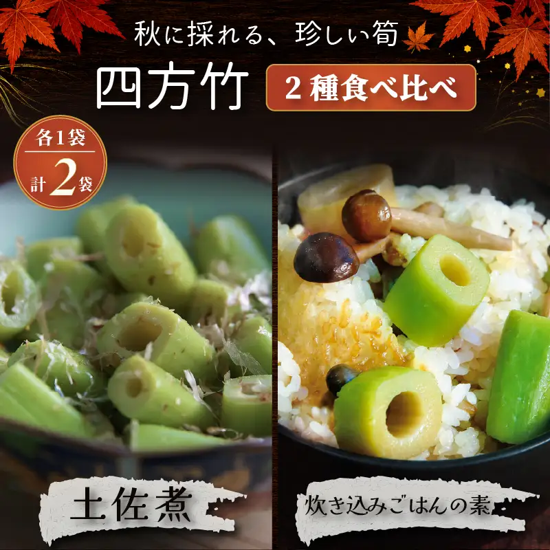 【期間限定】 国産 四方竹 2種食べ比べ 土佐煮 炊き込みごはんの素 計2袋 (2026年11月～発送) | シホウチク 筍 たけのこ 特産 珍味 希少 高知 南国市