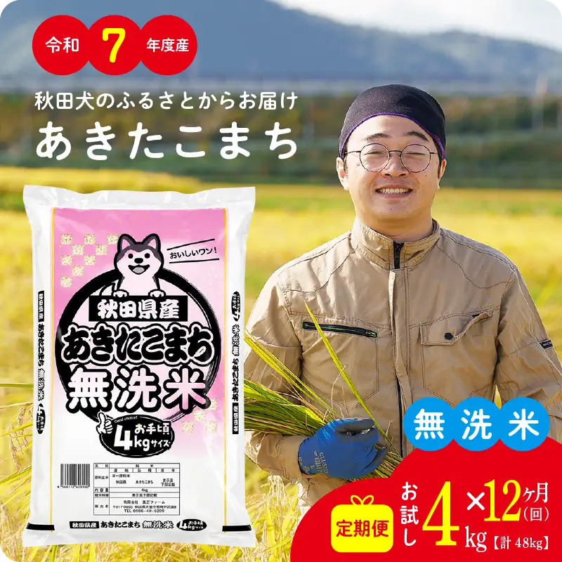 《令和7年産》【12ヶ月4kg定期便】無洗米 あきたこまち 無洗【真正ファーム】