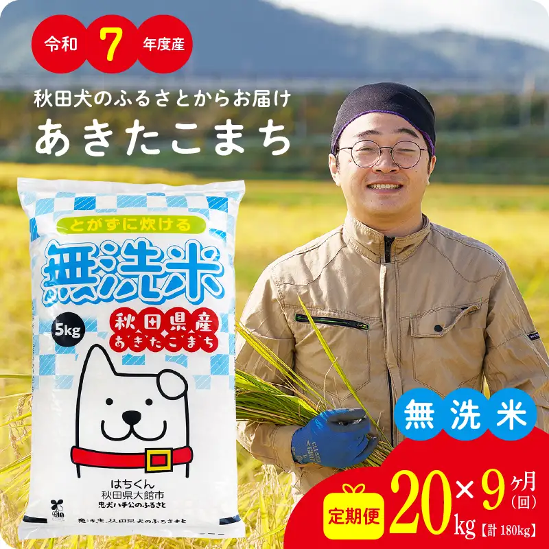 《令和7年産》【9ヶ月20kg定期便】無洗米 あきたこまち 無洗【真正ファーム】