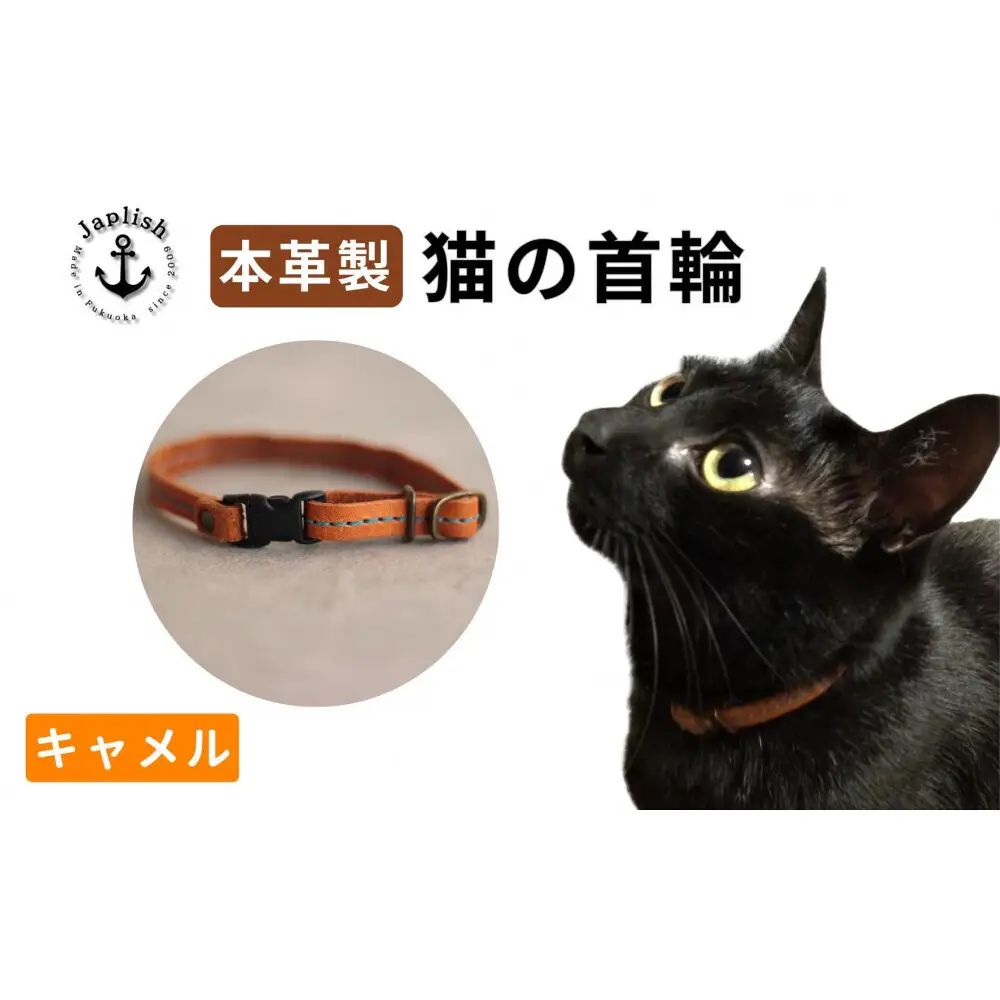 レザーの猫首輪 子猫～成猫対応【キャメル】 博多革工房 Japlish ジャプリッシュ
