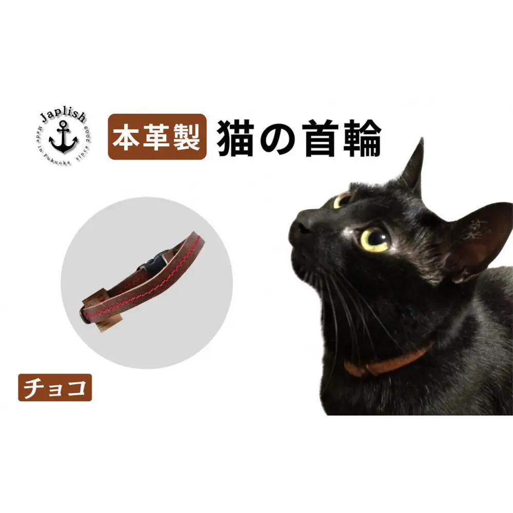レザーの猫首輪 子猫～成猫対応 【チョコ】博多革工房 Japlish ジャプリッシュ
