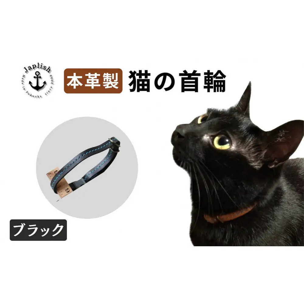 レザーの猫首輪 子猫～成猫対応【ブラック】 博多革工房 Japlish ジャプリッシュ
