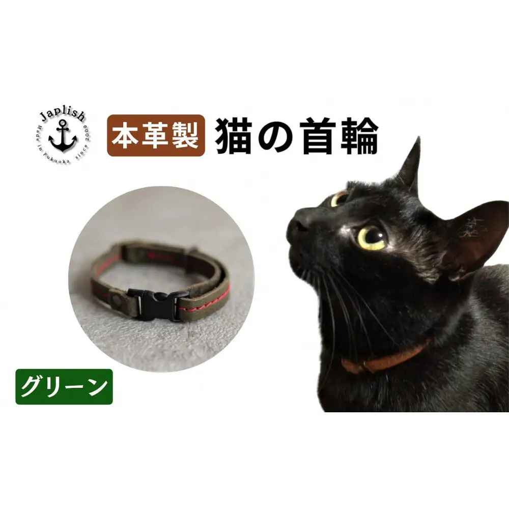 レザーの猫首輪 子猫～成猫対応【グリーン】 博多革工房 Japlish ジャプリッシュ
