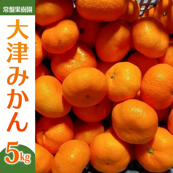 大津みかん（5kg）※12月中旬～下旬発送