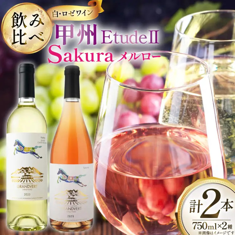 酒 ワイン エチュード ll ＆ ロゼ サクラ メルロー 750ml 2本 セット