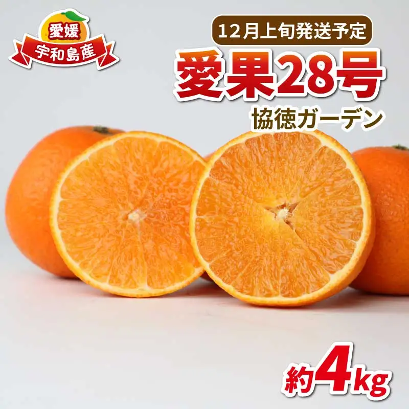 愛果28号 ( 紅まどんな と同品種) 4kg 家庭用 協徳ガーデン 紅まどんな