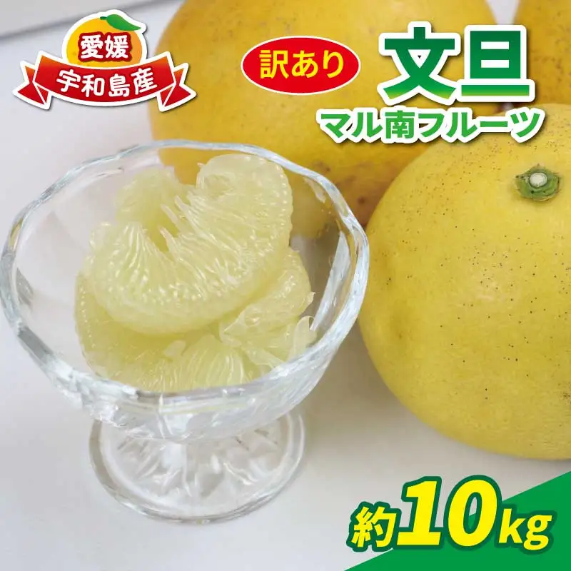 訳あり 文旦 10kg マル南フルーツ 文旦 B010-106038