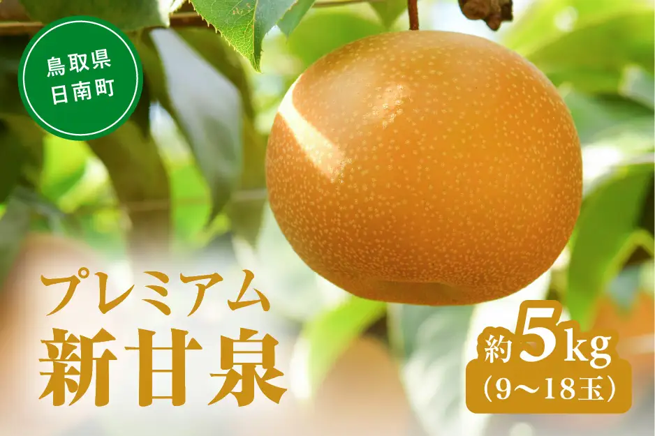 プレミアム新甘泉（しんかんせん） 5kg前後 (9～18玉前後) 梨 なし フルーツ 鳥取 高間商店
