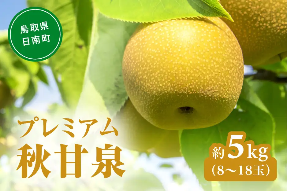 プレミアム秋甘泉（あきかんせん） 5kg前後(8～18玉前後) 梨 なし 果物 日南町 高間商店