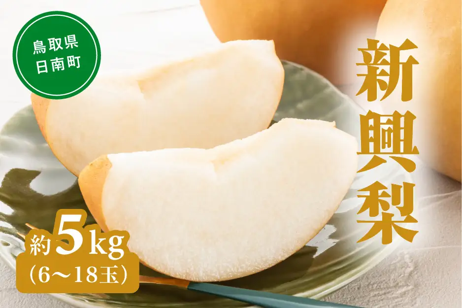 新興梨（しんこうなし） 5kg(6～18玉前後) 梨 なし 果物 日南町 高間商店