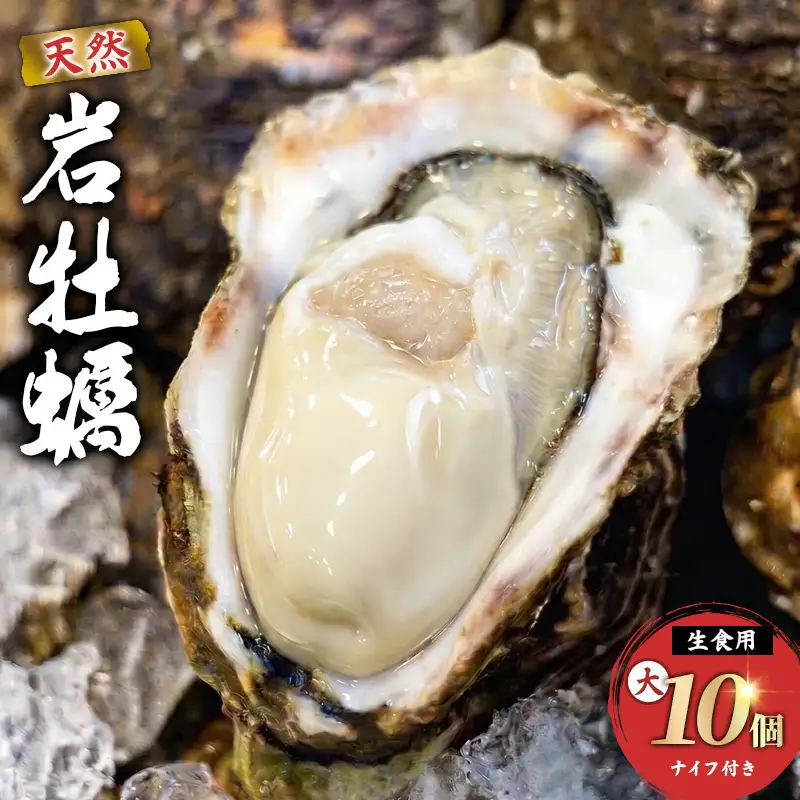 《ナイフ付》 生食用 殻付き 象潟産 天然 岩牡蠣 10個 約3kg 300～400g/個 直径10cm 岩ガキ 冷蔵 濃厚 新鮮 殻剥きナイフ付 贈り物 ギフト お取り寄せ 日本海 産地直送 秋田県 にかほ市 マルイチ水産