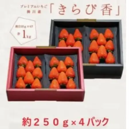 【2027年先行受付】いちご【きらぴ香】1箱 (1箱4パック入り 約250g×4)【配送不可地域：離島・北海道・沖縄県・四国・九州】【1634075】
