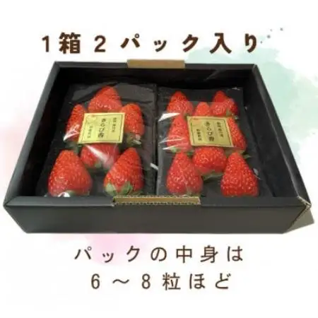 【2027年先行受付】いちご【きらぴ香】1箱 (1箱2パック入り 約250g×2)【配送不可地域：離島・北海道・沖縄県・四国・九州】【1634076】