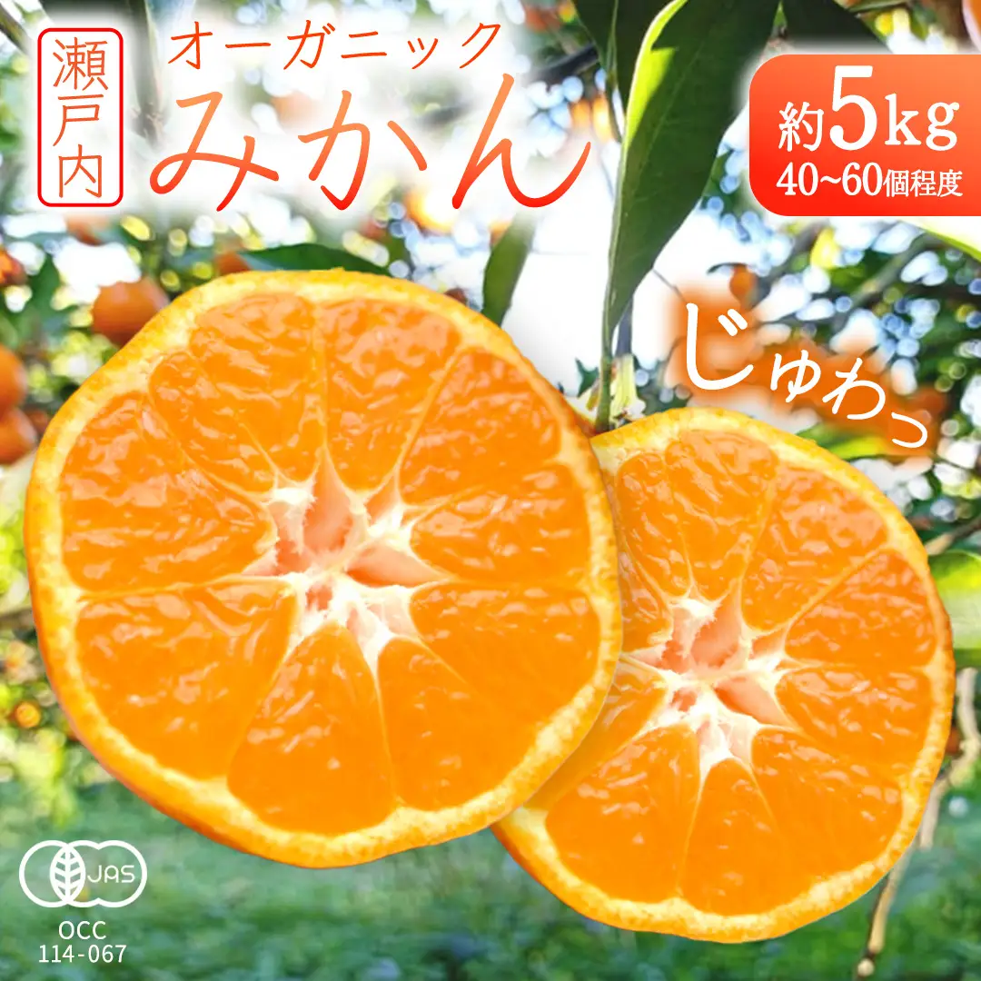 オーガニック 瀬戸内みかん 約5kg (40～60個程度)【2026年10月中旬～1月発送】 国産 有機JAS認証