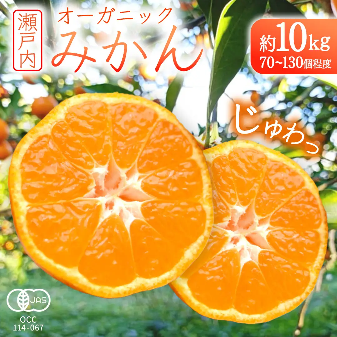 オーガニック 瀬戸内みかん 約10kg (70～130個程度) 【2026年10月中旬～1月発送】 国産 有機JAS認証
