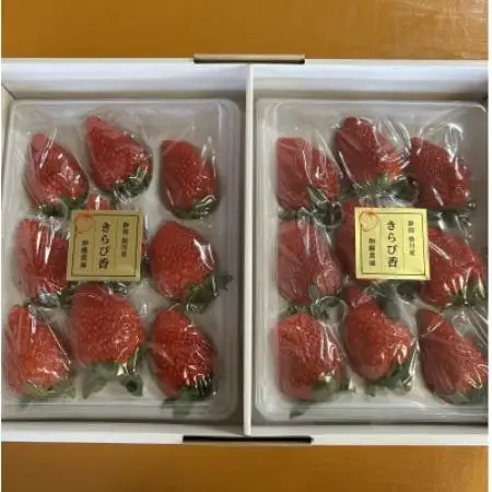 【2027年先行受付】いちご【きらぴ香】1箱 (1箱2パック入り 約450g×2)【配送不可地域：離島・北海道・沖縄県・四国・九州】【1638885】