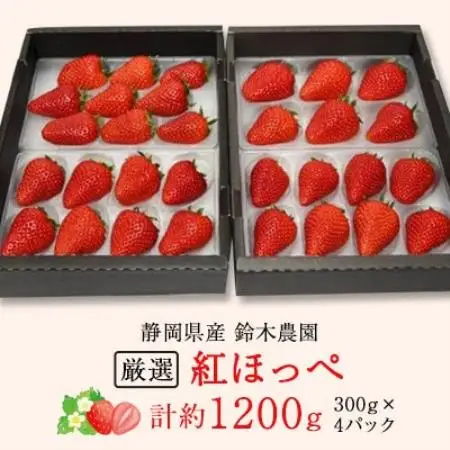 【発送月固定定期便】静岡県産いちご　厳選「紅ほっぺ」4パックセット(約1.2kg)全3回【配送不可地域：離島・北海道・沖縄県・東北・中国・四国・九州】【4079587】