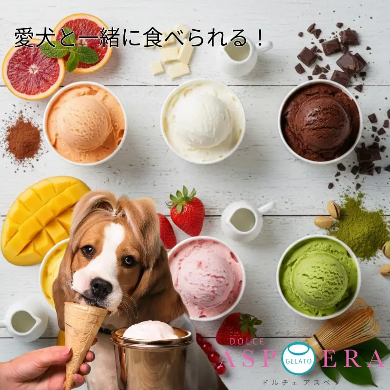 【愛犬と一緒に楽しむ】 贅沢 ジェラート 12個 セット 詰め合わせ 無添加 (季節のジェラート6個 ＆ わんちゃん専用6個)