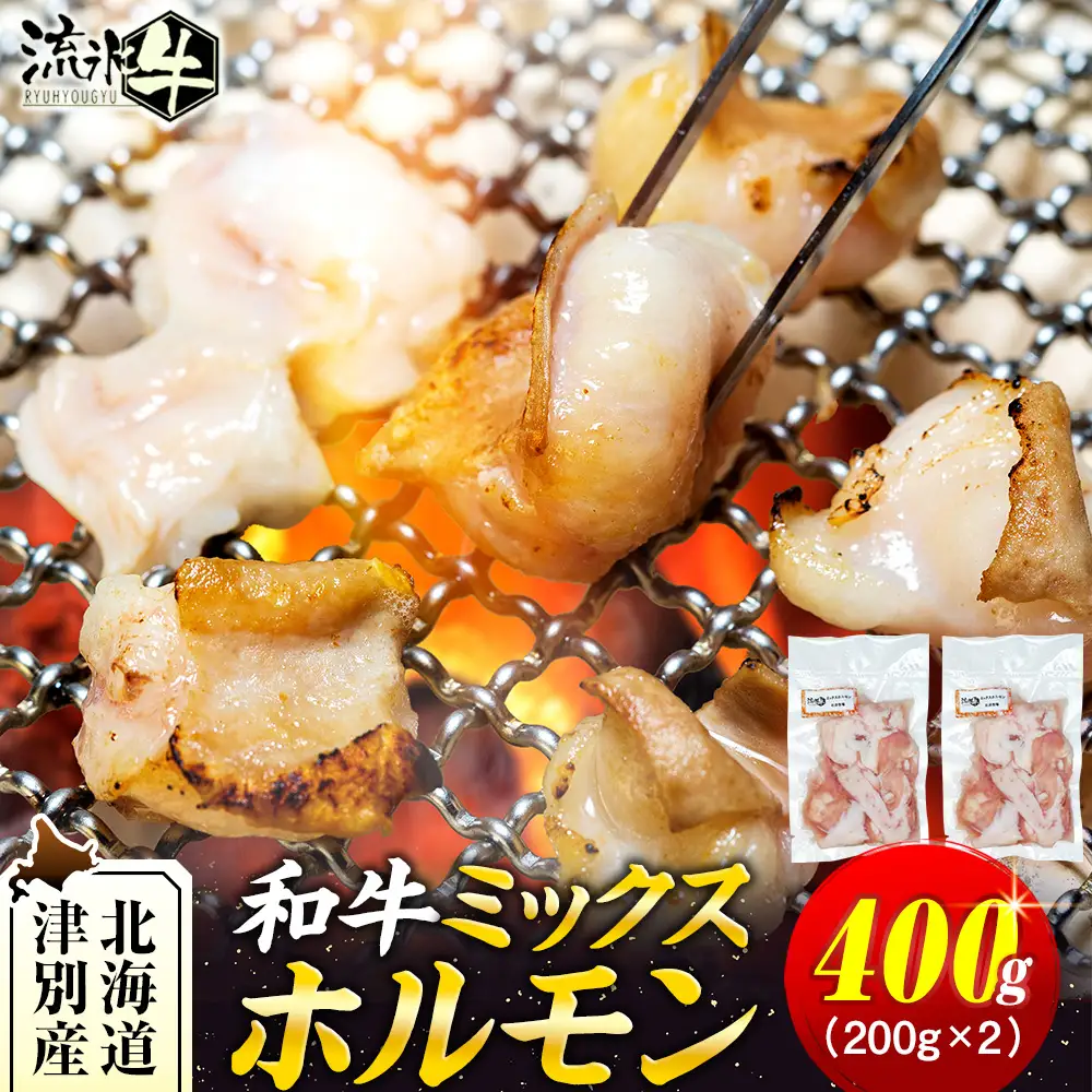 流氷牛 ミックスホルモン 400g(200g×2袋) 石井牧場 | ふるさと納税 ホルモン 牛ホルモン ミックスホルモン 和牛 流氷牛 焼肉 もつ焼き もつ鍋 小分け 国産 希少部位 味付けなし 大容量 北海道 津別町