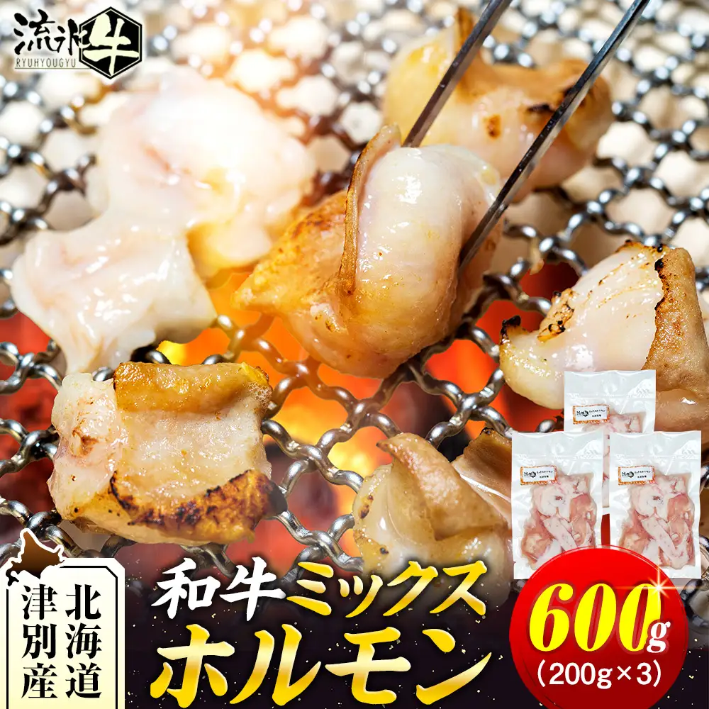 流氷牛 ミックスホルモン 600g(200g×3袋) 石井牧場 | ふるさと納税 ホルモン 牛ホルモン ミックスホルモン 和牛 流氷牛 焼肉 もつ焼き もつ鍋 小分け 国産 希少部位 味付けなし 大容量 北海道 津別町