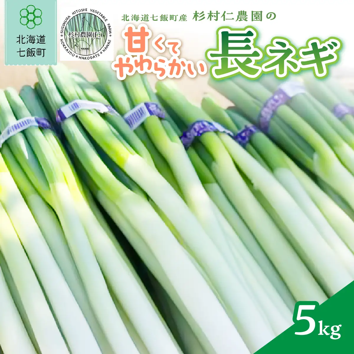 北海道 七飯町産 杉村仁農園の甘くてやわらかい長ネギ 5kg NACA001