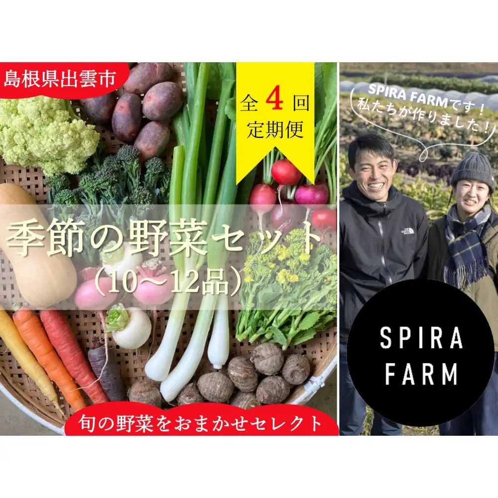 【3か月に1回・全4回定期便】季節の野菜セット10～12品目《栽培期間中 農薬・化学肥料不使用》出雲の旬野菜を季節ごとにお届け［出雲 野菜セット 送料無料 ふるさと納税］