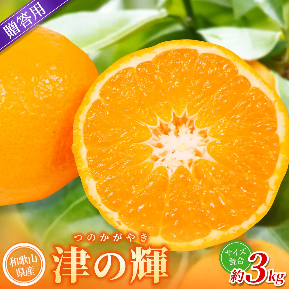 【贈答用】 森本農園の手選別 津の輝 約3kg 和歌山県産 L～2Lサイズ 【北海道・沖縄・離島配送不可】【2027年2月上旬～2027年4月中旬頃に順次発送】【BV-mrmt114】