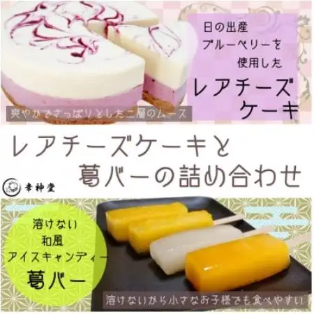 日の出産ブルーベリーを使用したレアチーズケーキと溶けない和風アイスキャンディー 葛バーの詰め合わせ【配送不可地域：離島】【1540836】