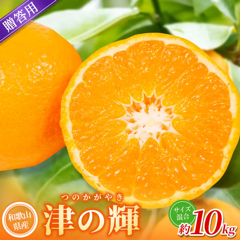 【贈答用】 森本農園の手選別 津の輝 約10kg 和歌山県産 L～2Lサイズ 【北海道・沖縄・離島配送不可】【2027年2月上旬～2027年4月中旬頃に順次発送】【BV-mrmt116】