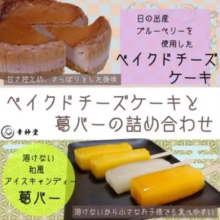 日の出産ブルーベリーを使用したベイクドチーズケーキと溶けない和風アイスキャンディー葛バーの詰め合わせ【配送不可地域：離島】【1540840】