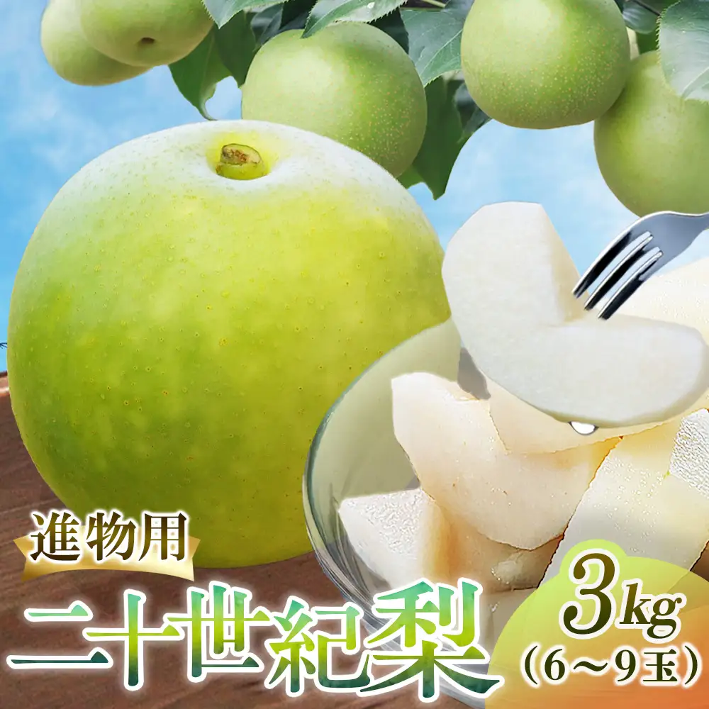 二十世紀梨【進物】3kg（三ツ田農園） 鳥取 梨 果物 フルーツ 和梨 二十世紀梨 20世紀梨 人気 甘い 進物 贈答用 赤秀