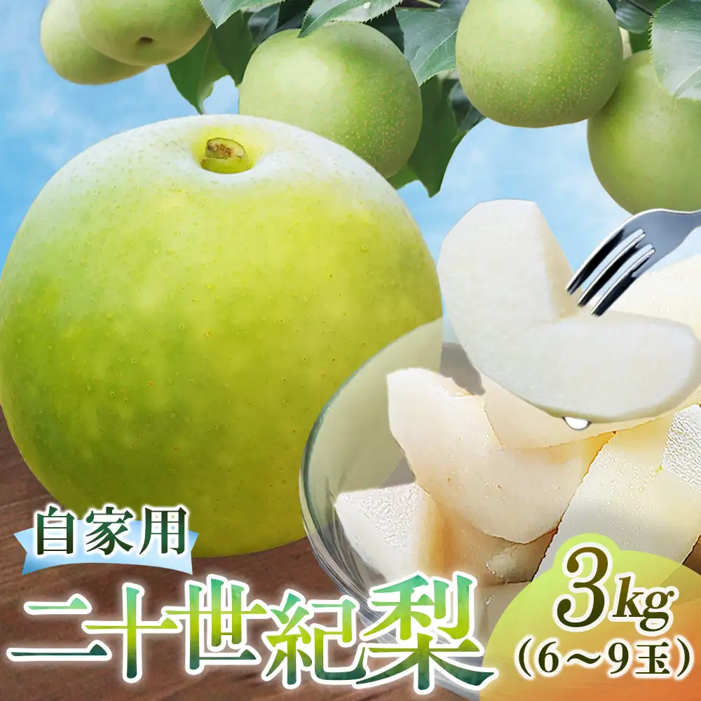二十世紀梨【自家用】3kg（三ツ田農園） 鳥取 梨 果物 フルーツ 和梨 二十世紀梨 20世紀梨 人気 甘い 家庭用