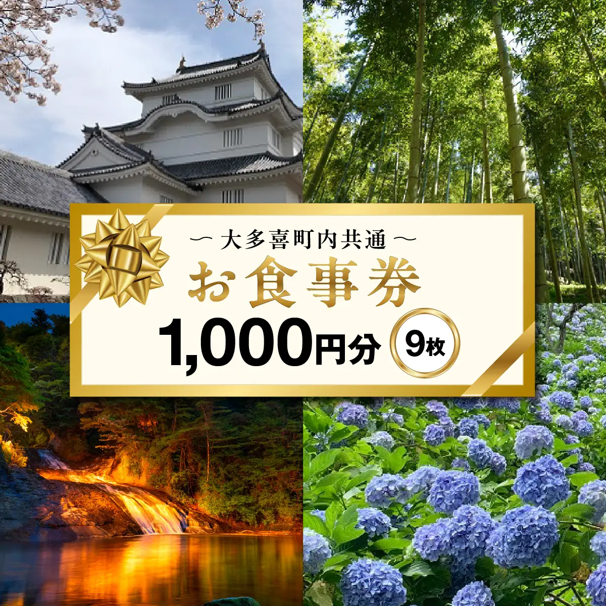 大多喜町内共通お食事券1000円分×９枚　W03303