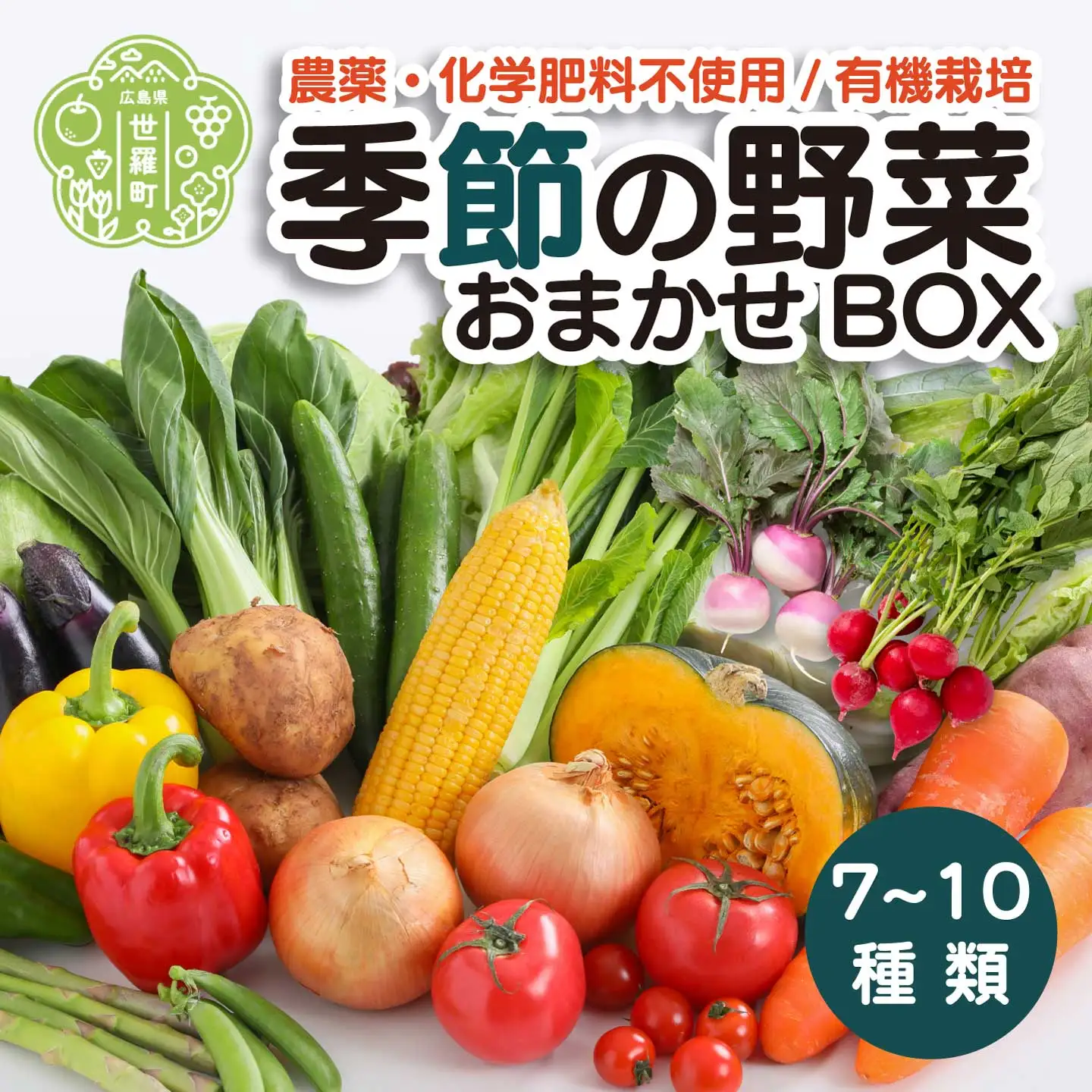 季節の野菜詰め合わせセット 7～10類 A079-01