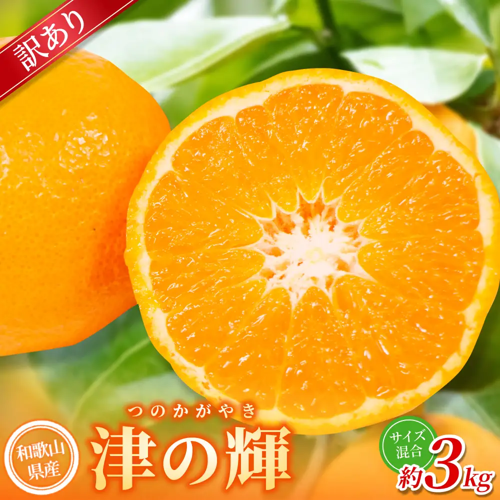 【訳あり】 森本農園の手選別 津の輝 約3kg 和歌山県産 サイズ混合 【北海道・沖縄・離島配送不可】【2027年2月上旬～2027年4月中旬頃に順次発送】【BV-mrmt122】