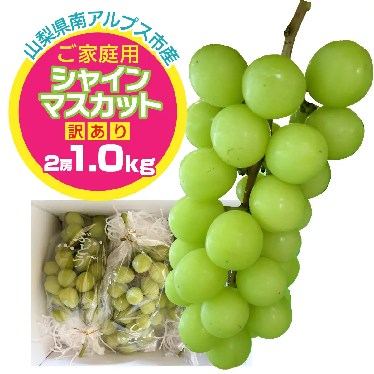 ＜2026年発送先行予約＞ご家庭用シャインマスカット 約1.0kg（2房）　「訳あり」 ALPFN008