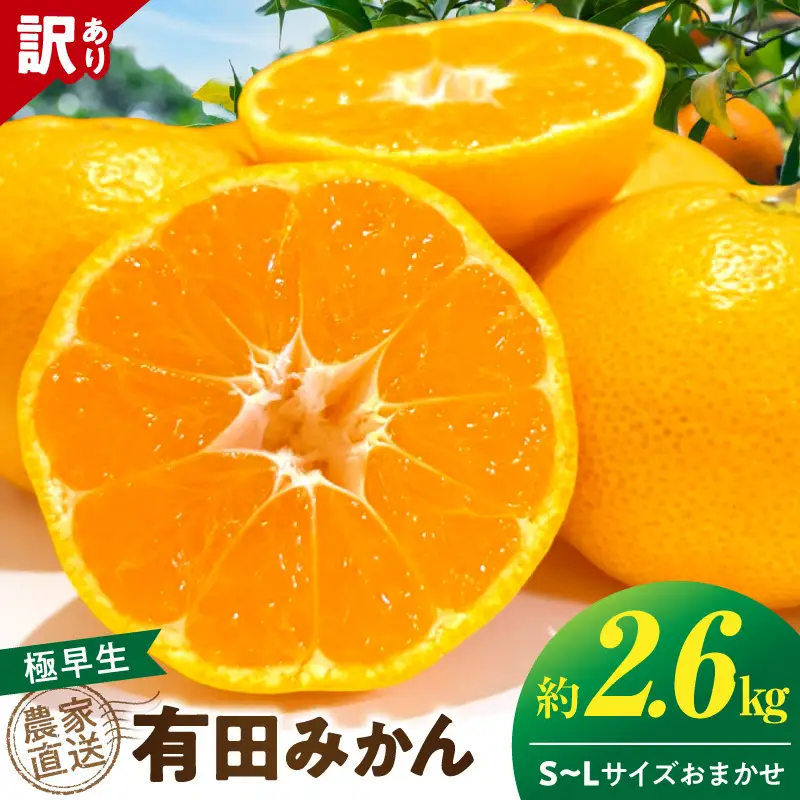 《2026年11月上旬～11月中旬頃までに順次発送予定》【2026年先行予約】有田みかん 極早生 約2.6kg 訳あり_TR1001