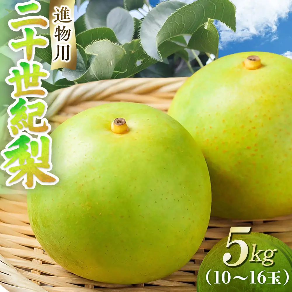 二十世紀梨【進物】5kg（東商果樹園） 鳥取 梨 果物 フルーツ 和梨 二十世紀梨 人気 甘い 進物 贈答用