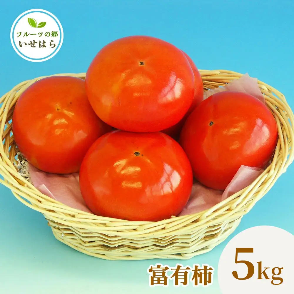 [2026年11月中旬以降発送 数量限定] 2026年産フルーツの郷いせはら 富有柿 5kg [1187]