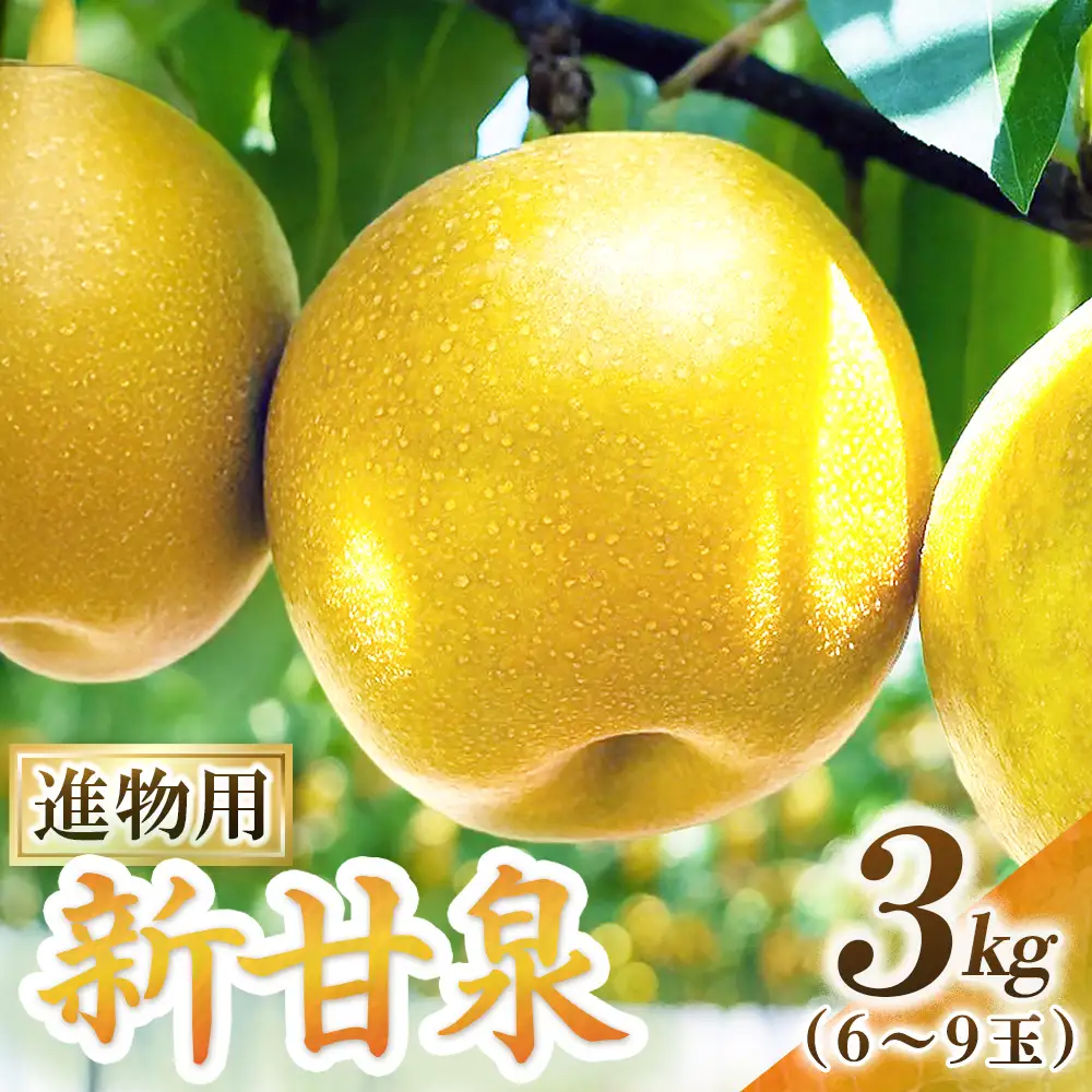 新甘泉【進物】3kg（東商果樹園） 鳥取 梨 果物 フルーツ 和梨 新甘泉 しんかんせん 人気 甘い 進物 贈答用