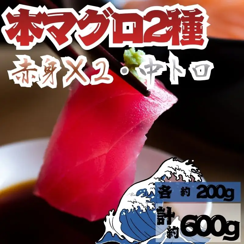 【9月上旬から順次発送】本マグロ 赤身 2柵 中トロ 1柵 セット