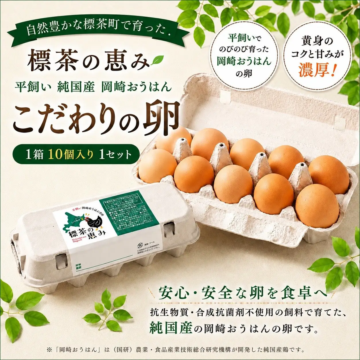 【限定50セット】標茶の恵み「平飼い 純国産 岡崎おうはん　こだわりの卵１箱 10個入り1セット」