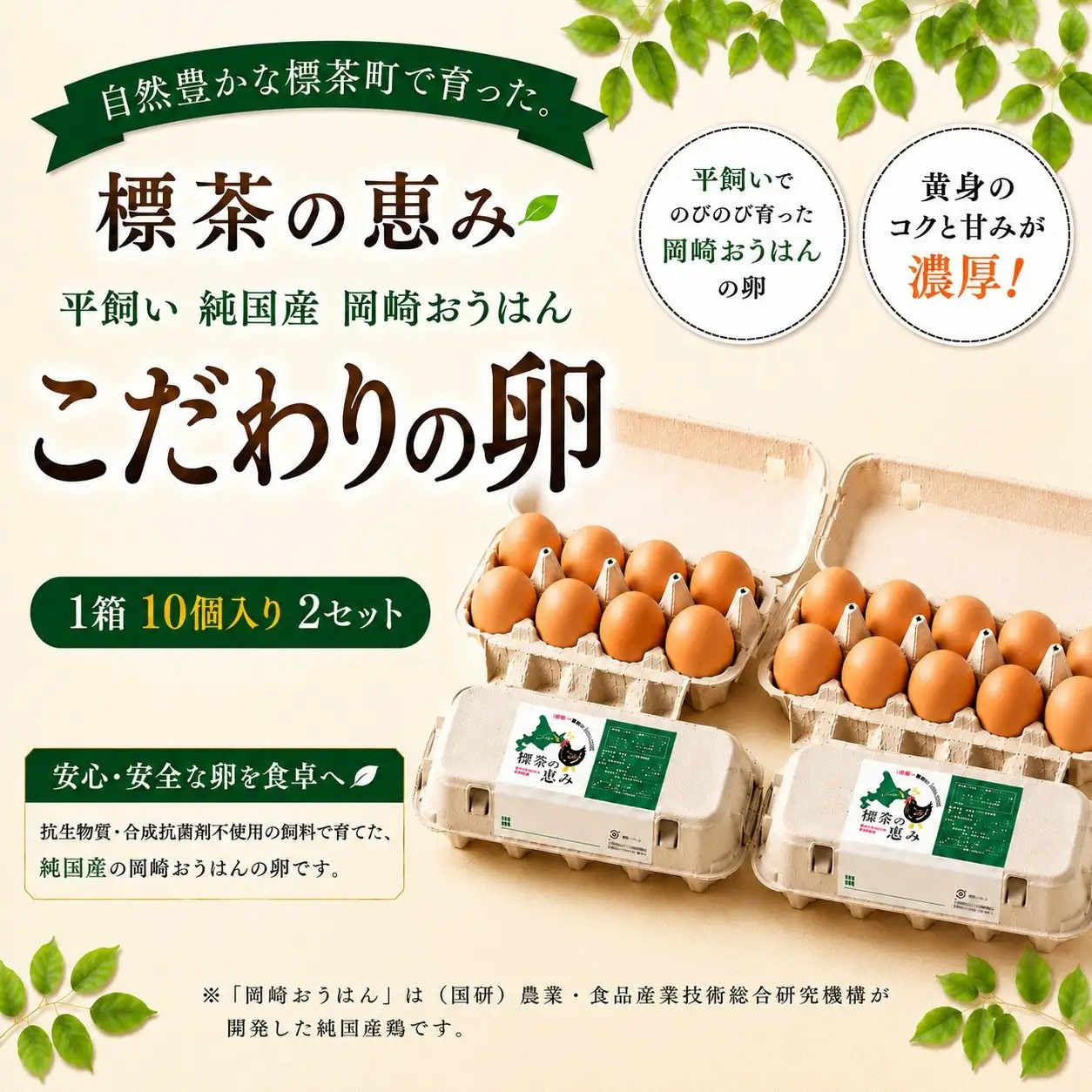【限定25セット】標茶の恵み「平飼い 純国産 岡崎おうはん　こだわりの卵 １箱10個入り2セット」