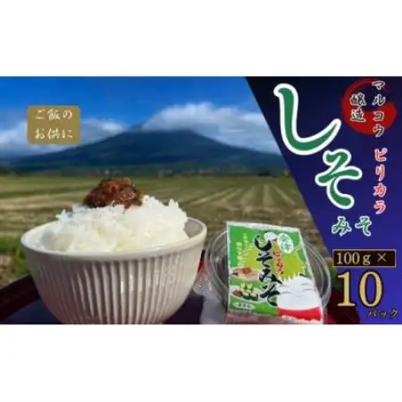 ご飯や野菜のお供に!会津のピリカラしそみそ100g×10パック入り【1715087】
