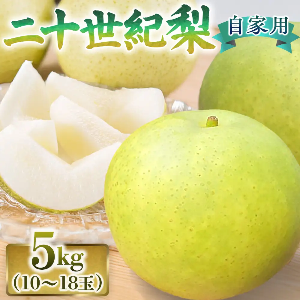 二十世紀梨【自家用】5kg（有梨の実　石田） 鳥取 梨 果物 フルーツ 和梨 二十世紀梨 20世紀梨 人気 甘い 進物 家庭用