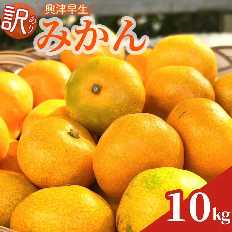 【訳あり】早生みかん 10kg 興津 minorien 静岡 牧之原