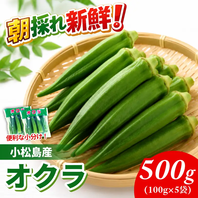 【6月下旬から発送】オクラ 500g 新鮮 朝採れ 選べる 容量 小分け おくら 朝どれ 野菜 夏 夏野菜 旬 サラダ 冷蔵 農地直送 国産 小松島市 