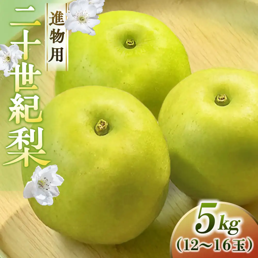 二十世紀梨【進物】5kg（中村農園） 鳥取 梨 果物 フルーツ 和梨 二十世紀梨 20世紀梨 人気 甘い 進物 贈答用