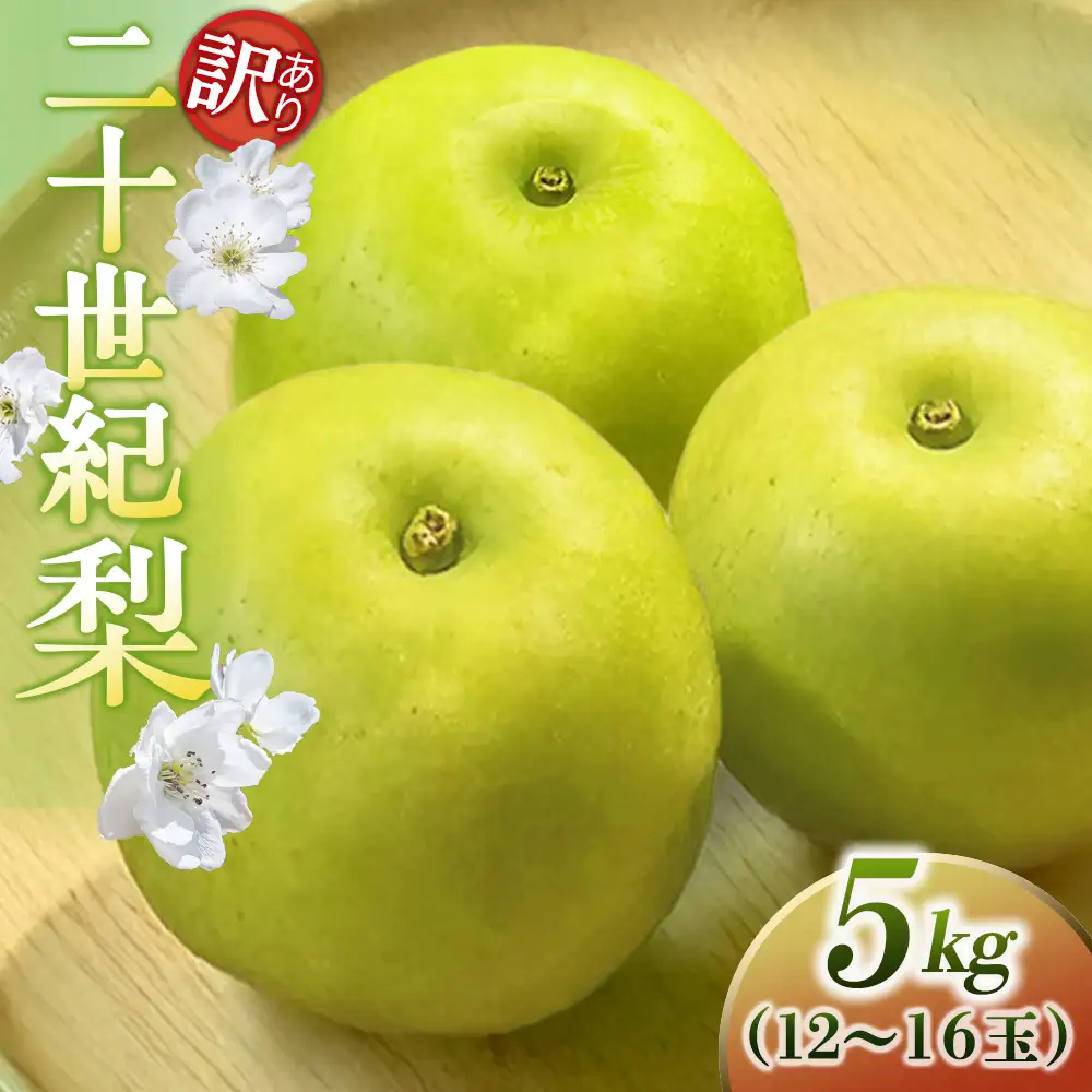 二十世紀梨【訳あり】5kg（中村農園） 鳥取 梨 果物 フルーツ 和梨 二十世紀梨 20世紀梨 人気 甘い 自家用